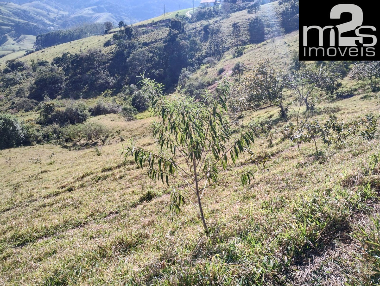 Fazenda - Foto 33