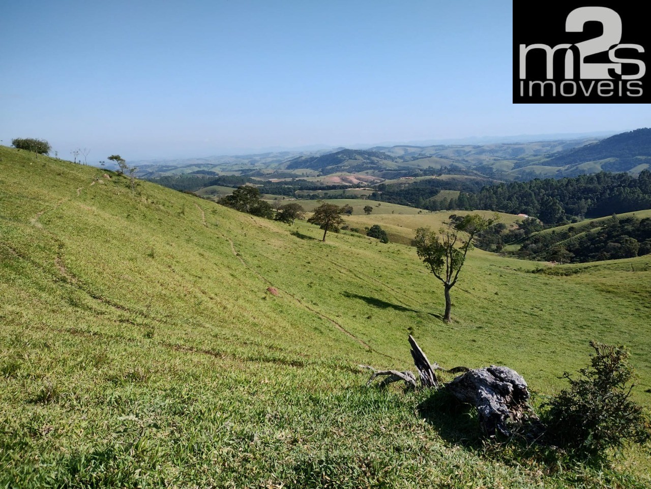 Fazenda - Foto 6