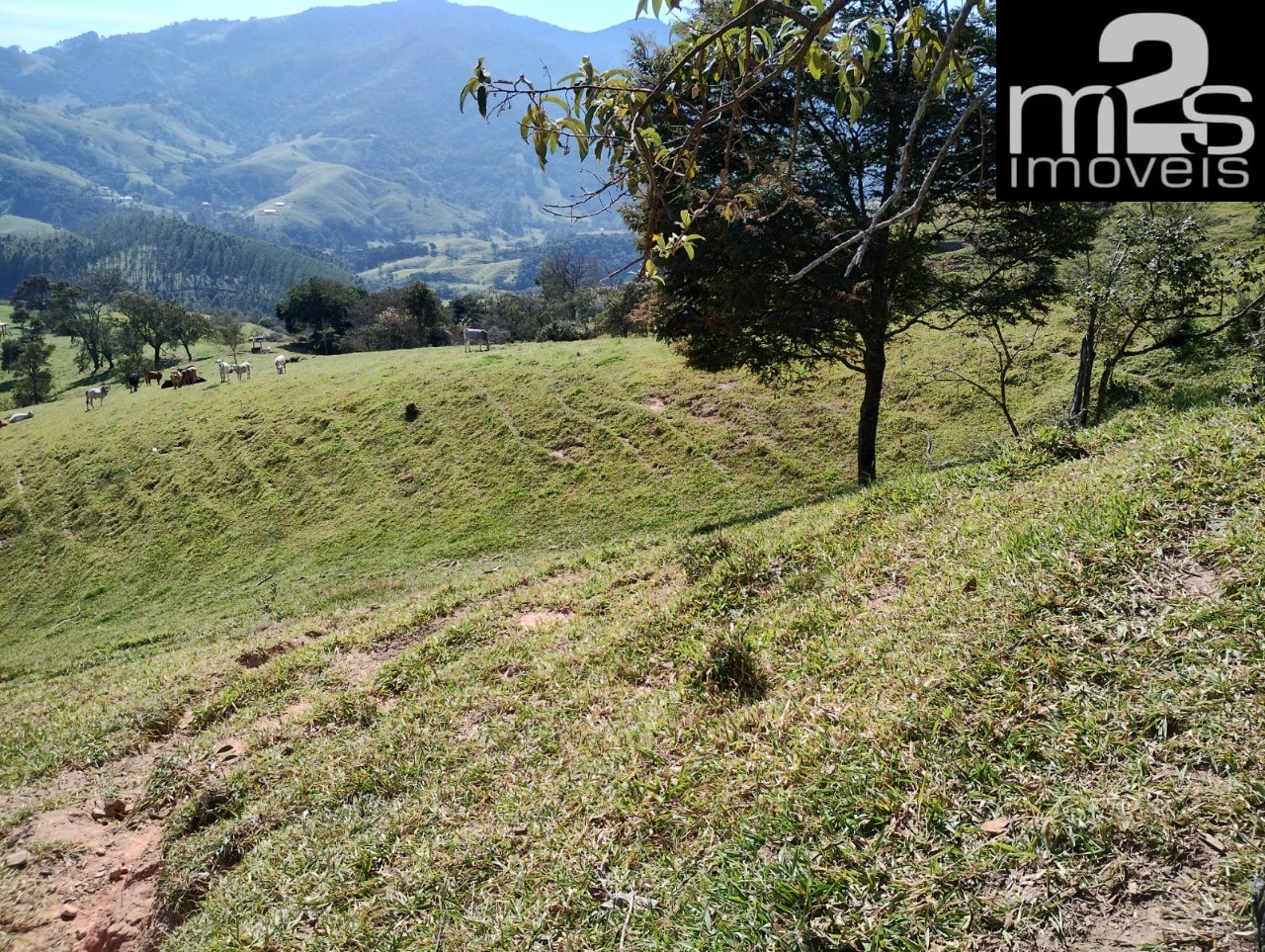 Fazenda - Foto 20