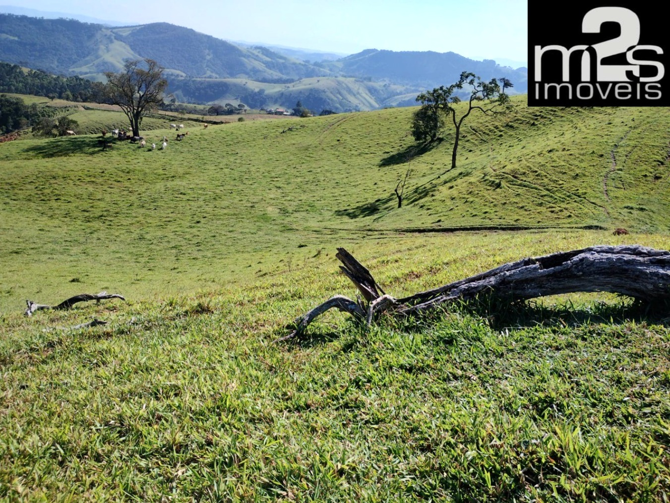 Fazenda - Foto 2