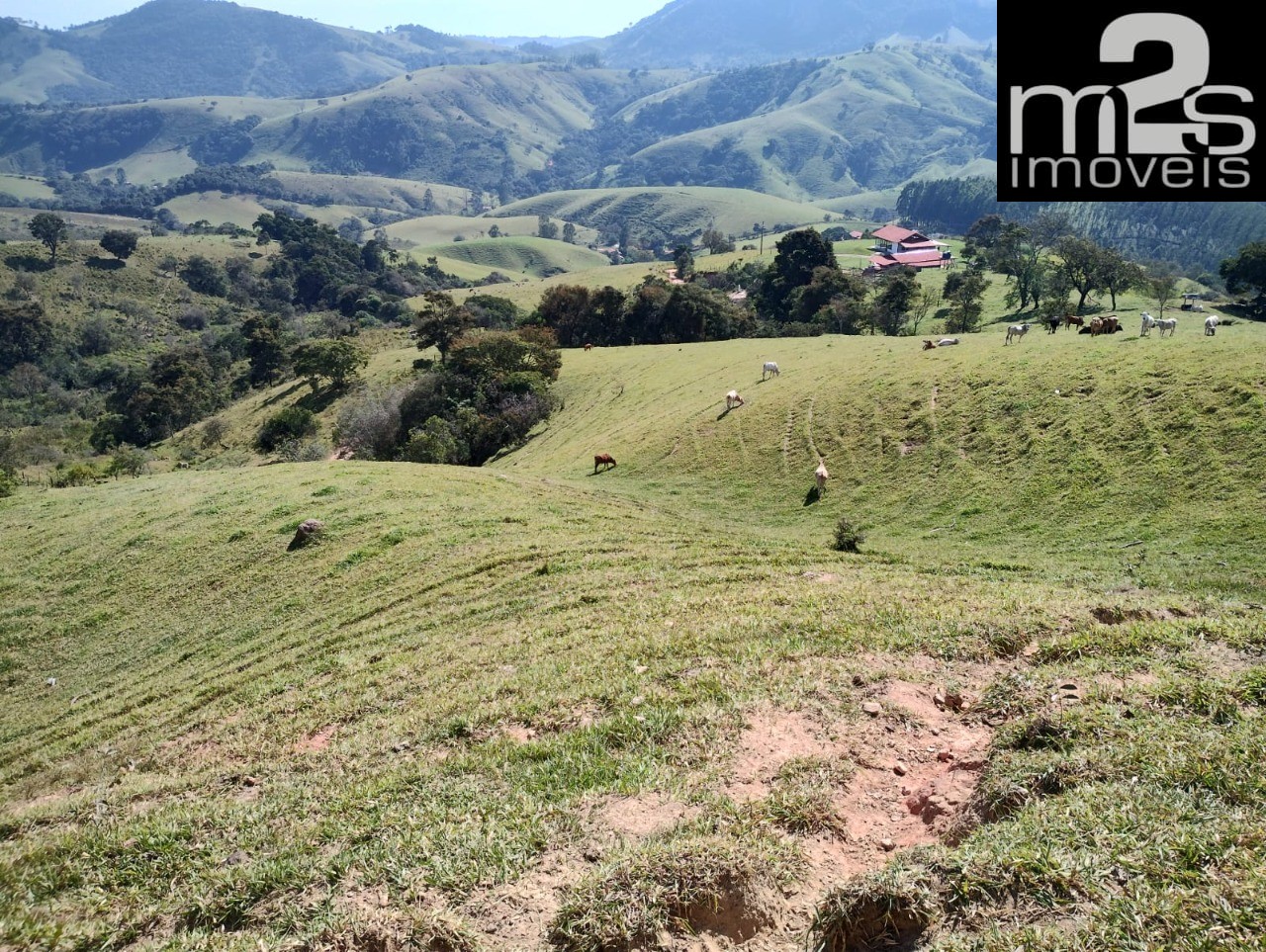 Fazenda - Foto 7