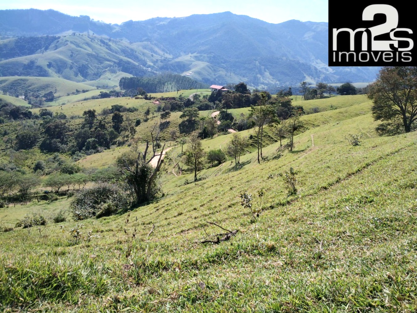 Fazenda - Foto 3