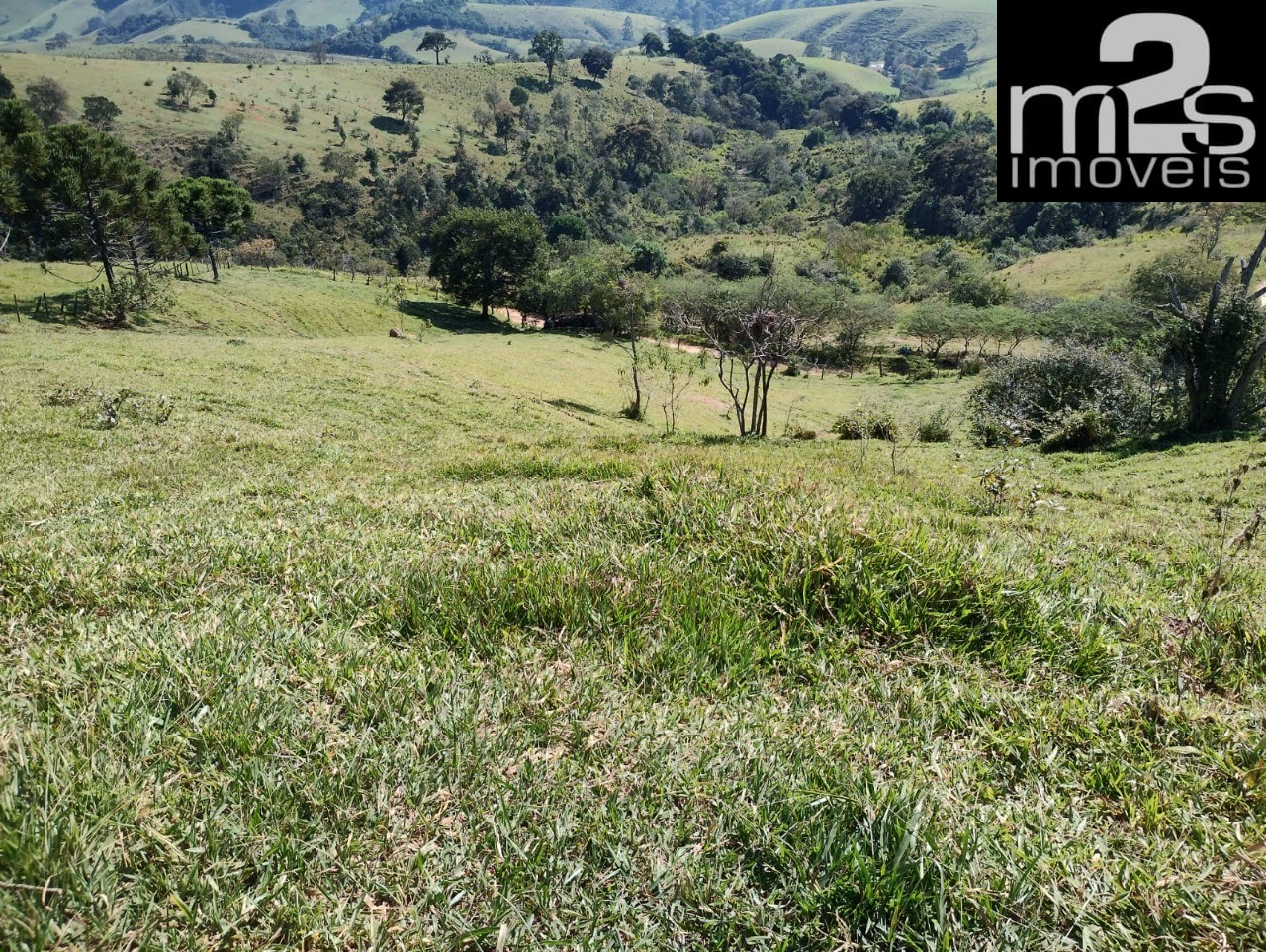 Fazenda - Foto 5