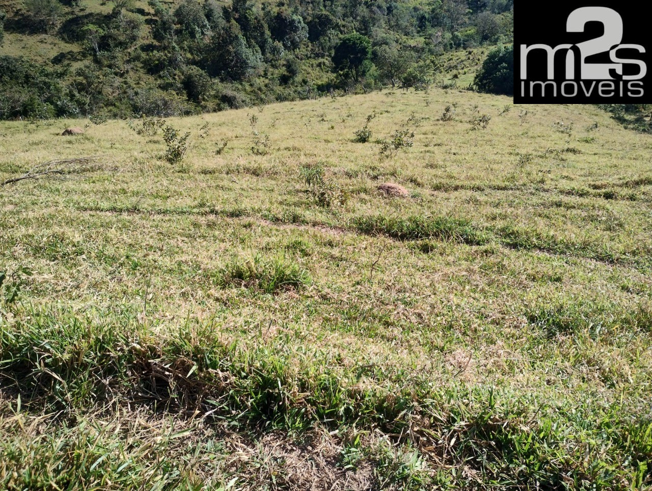 Fazenda - Foto 15