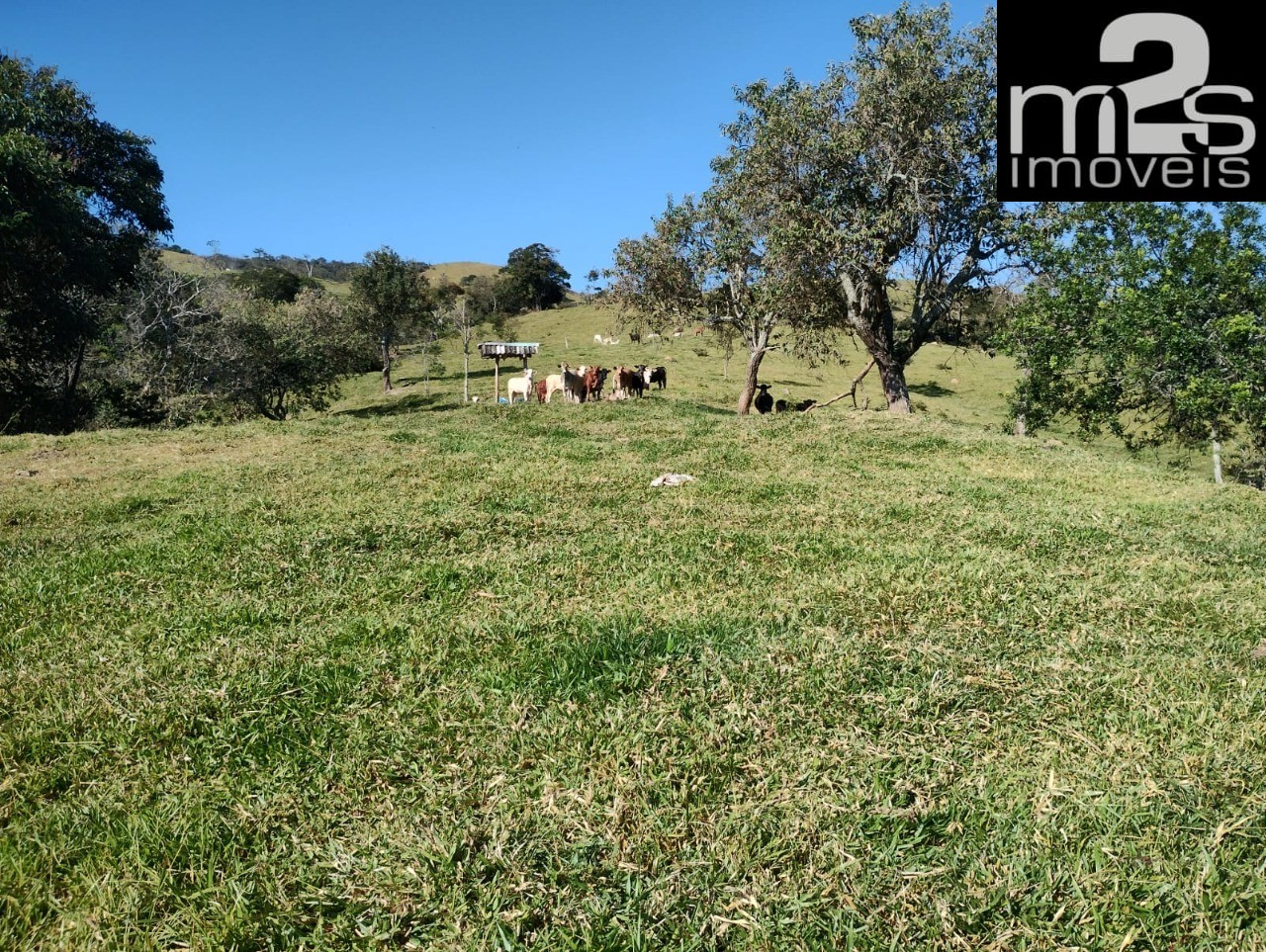 Fazenda - Foto 26