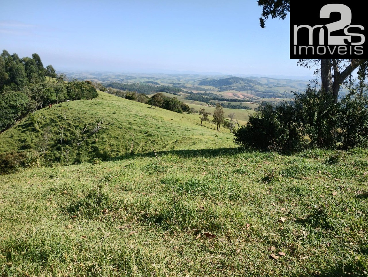 Fazenda - Foto 11