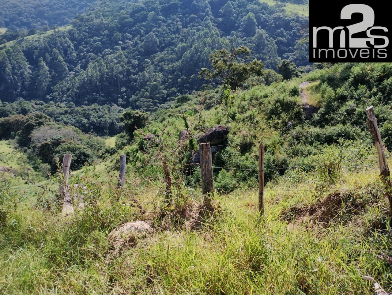Fazenda - Foto 43