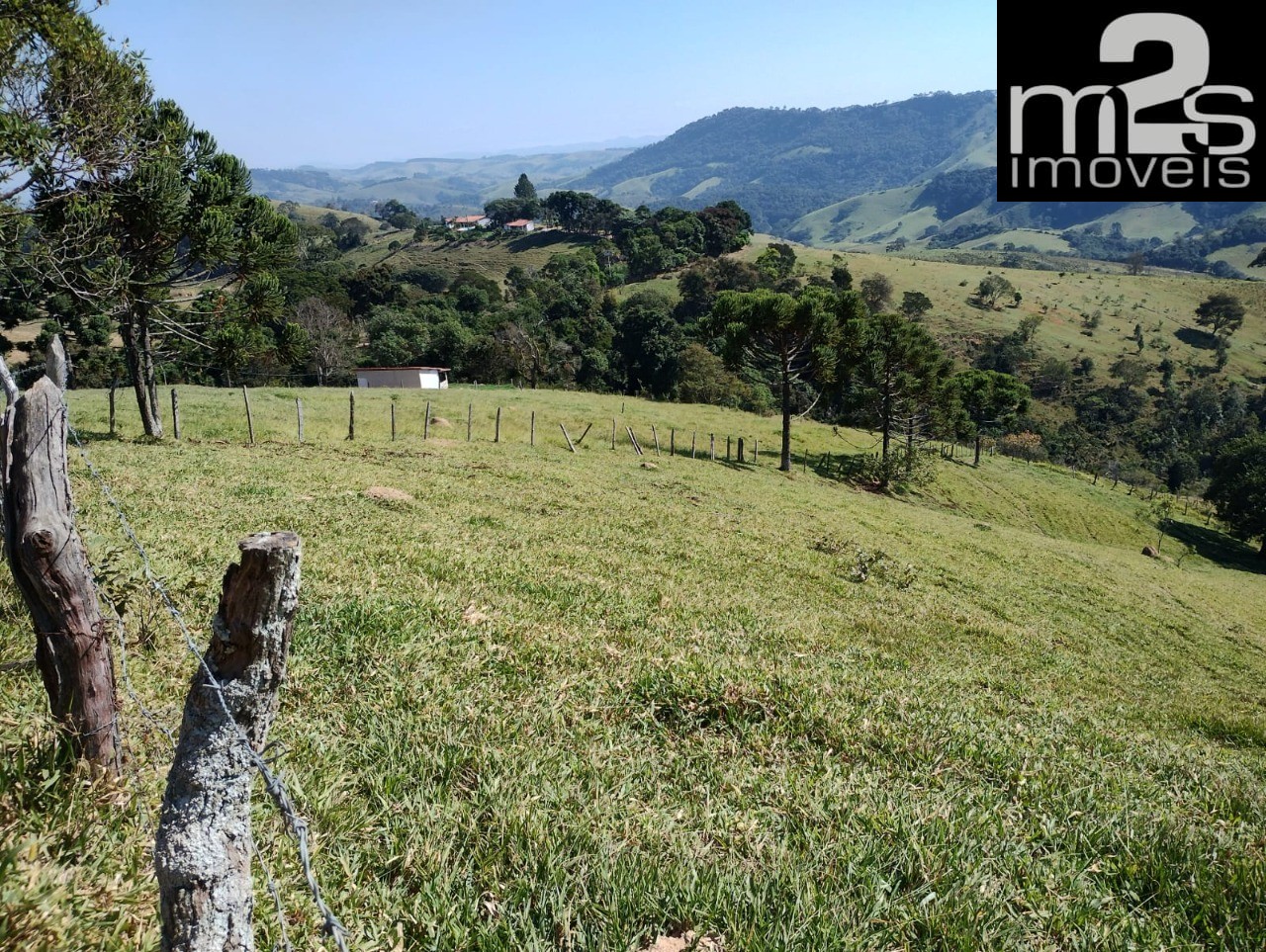 Fazenda - Foto 28
