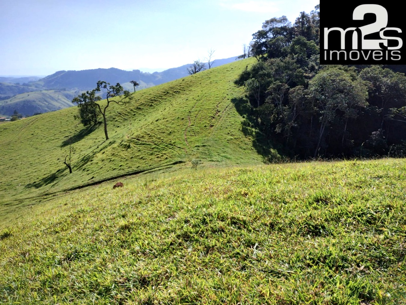 Fazenda - Foto 4