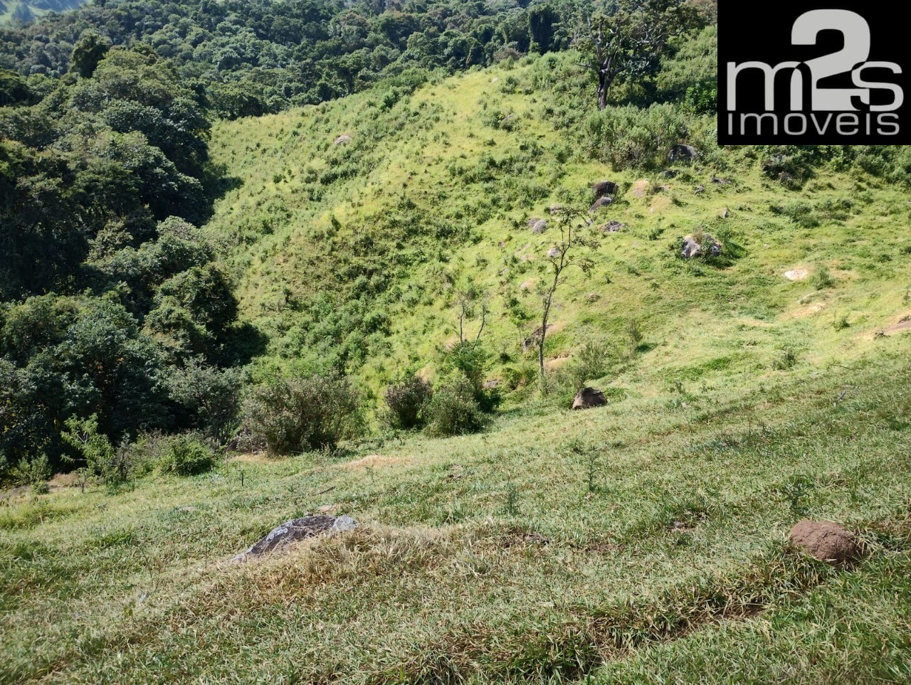 Fazenda - Foto 23