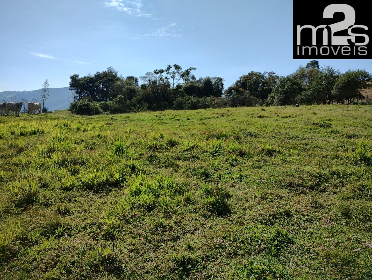 Fazenda - Foto 18