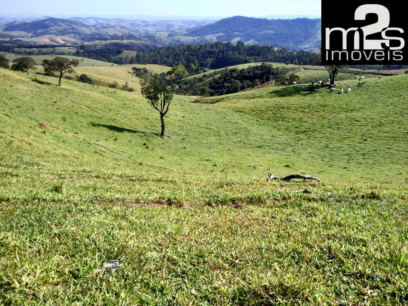 Fazenda - Foto 1