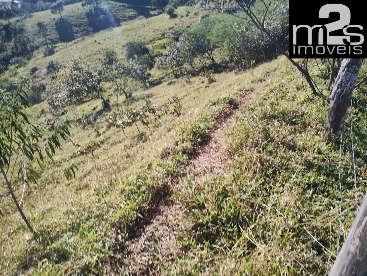 Fazenda - Foto 35