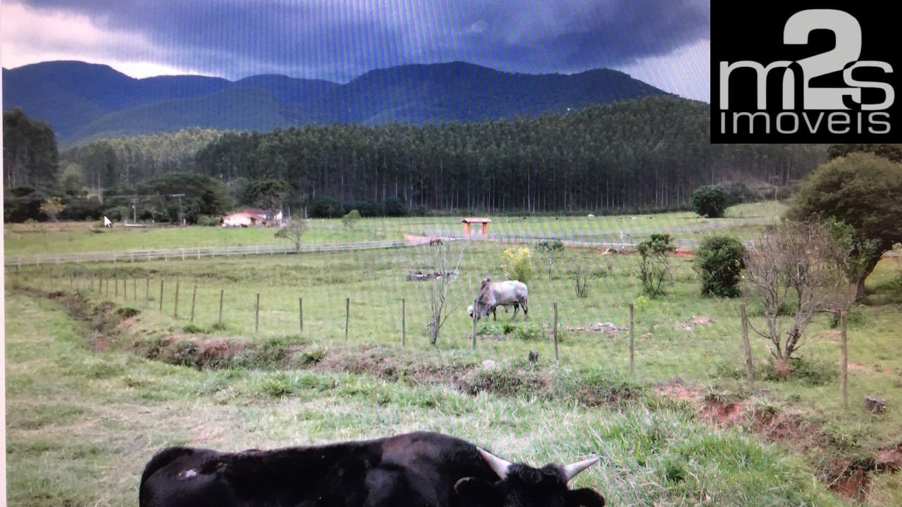 Fazenda, 4 quartos - Foto 9