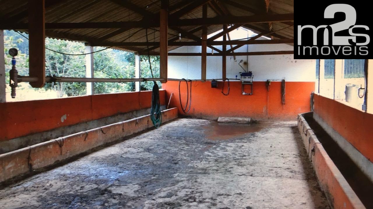 Fazenda, 4 quartos - Foto 43
