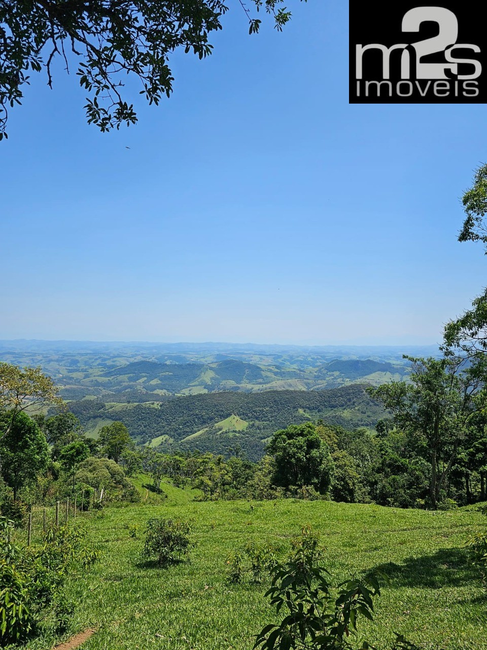 Sítio, 19 hectares - Foto 17