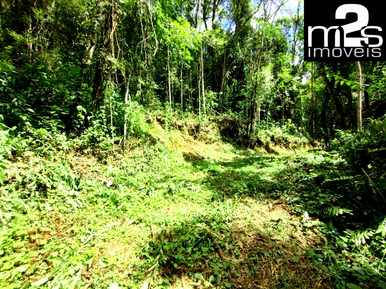 Chácara, 2 hectares - Foto 3