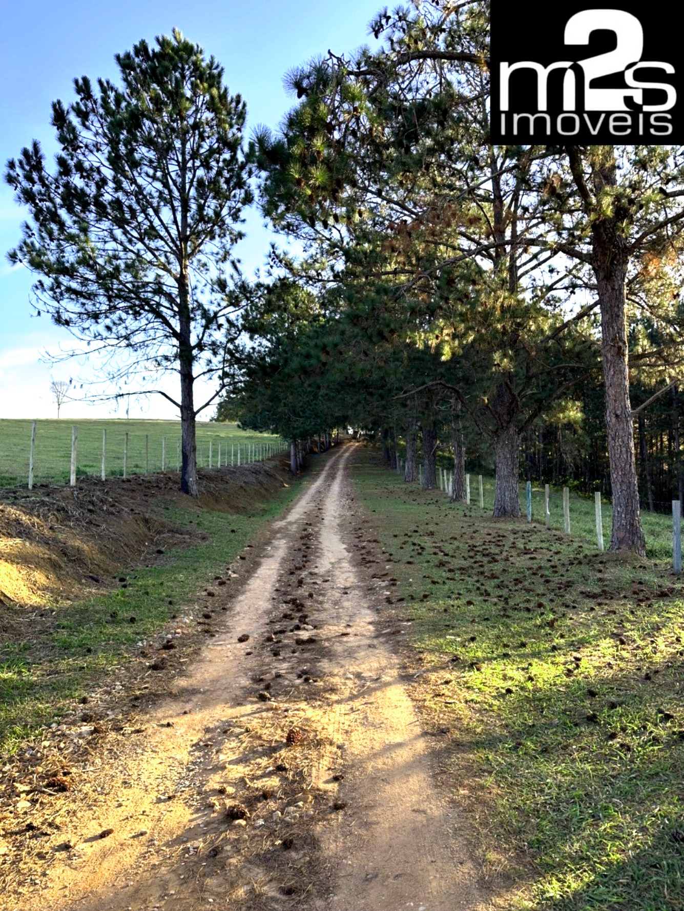 Chácara, 2 hectares - Foto 2
