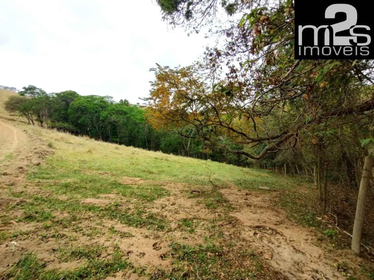 Sítio, 7 hectares - Foto 11