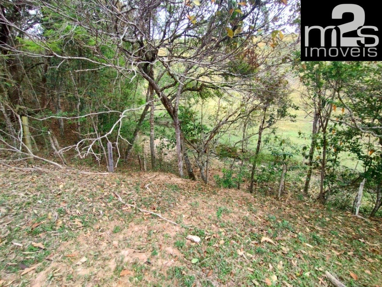 Sítio, 7 hectares - Foto 16