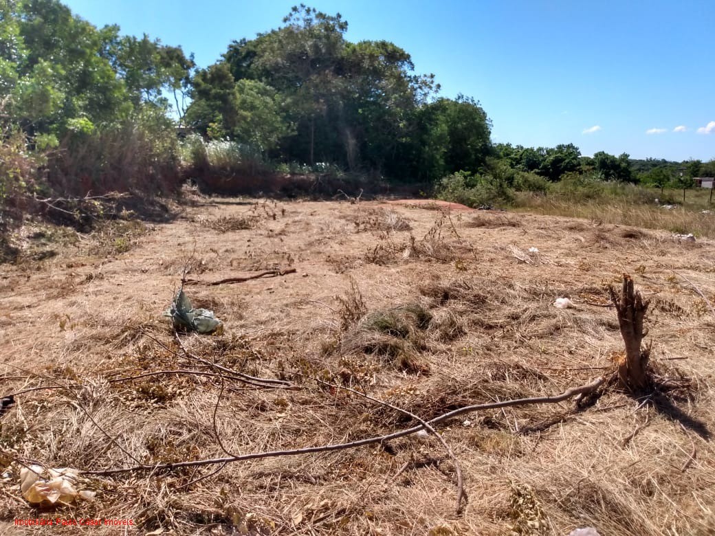 Terreno à venda, 450m² - Foto 5