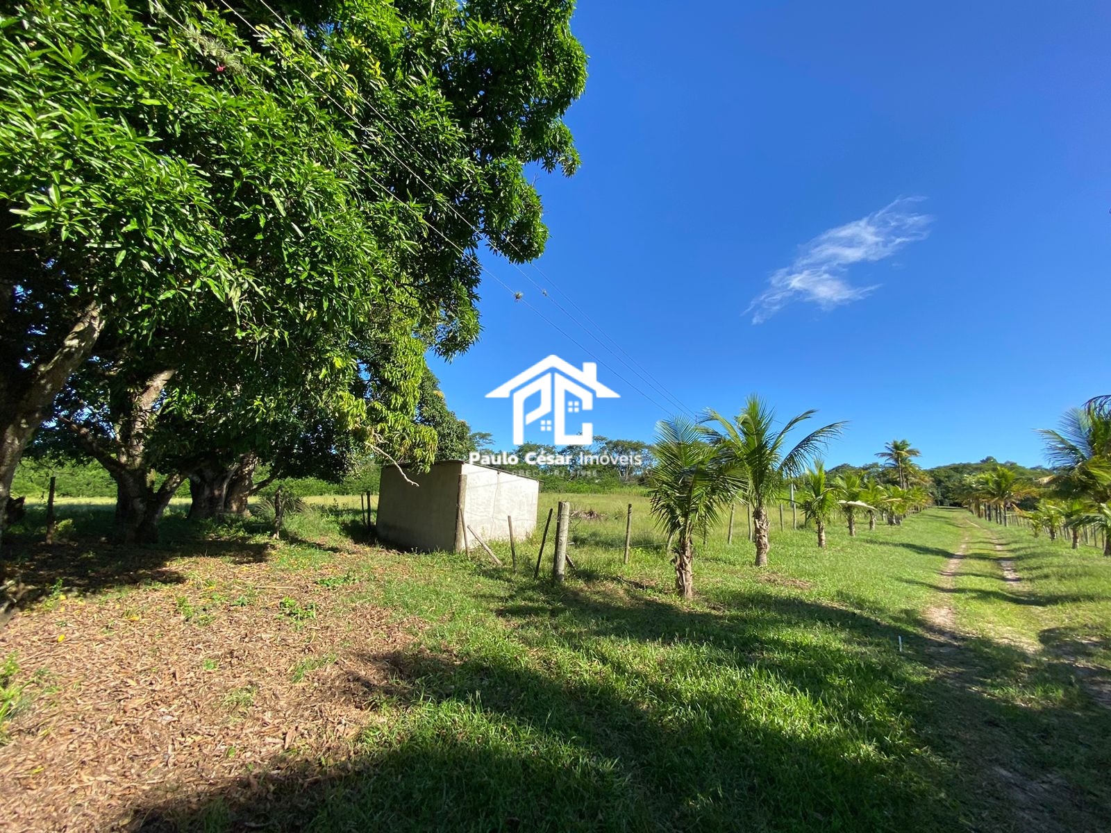 Casa à venda com 2 quartos, 190000m² - Foto 57