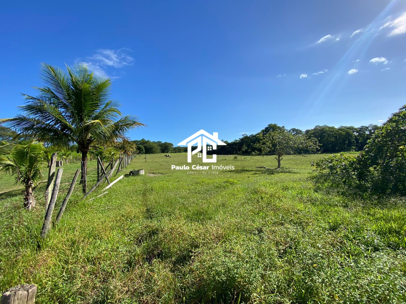 Casa à venda com 2 quartos, 190000m² - Foto 1