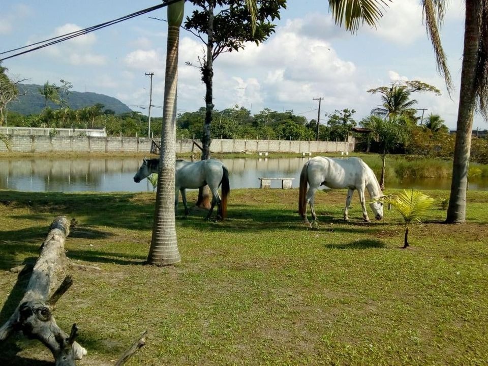 Chácara à venda com 3 quartos - Foto 13