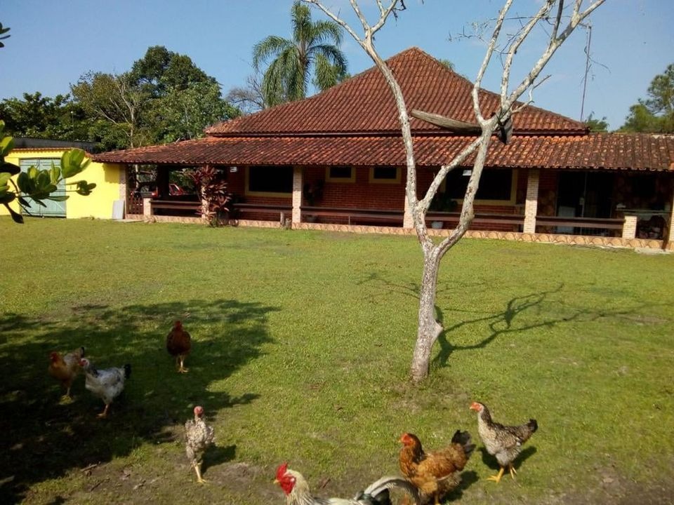 Chácara à venda com 3 quartos - Foto 8