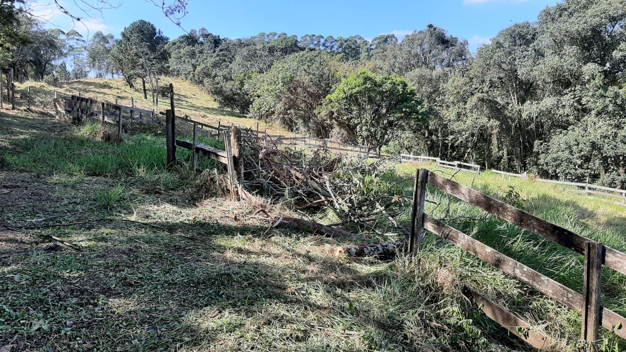 Haras e Área Rural Padrão à venda, 20000m² - Foto 3