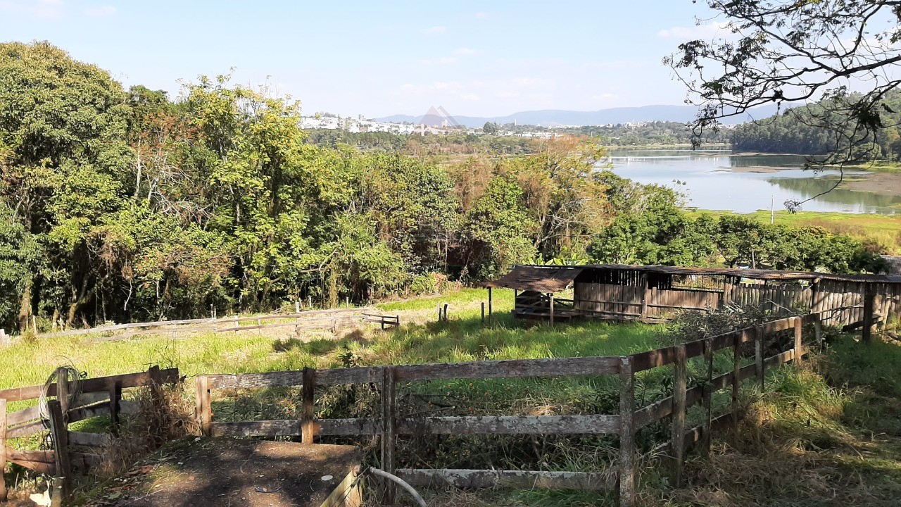 Haras e Área Rural Padrão à venda, 20000m² - Foto 4