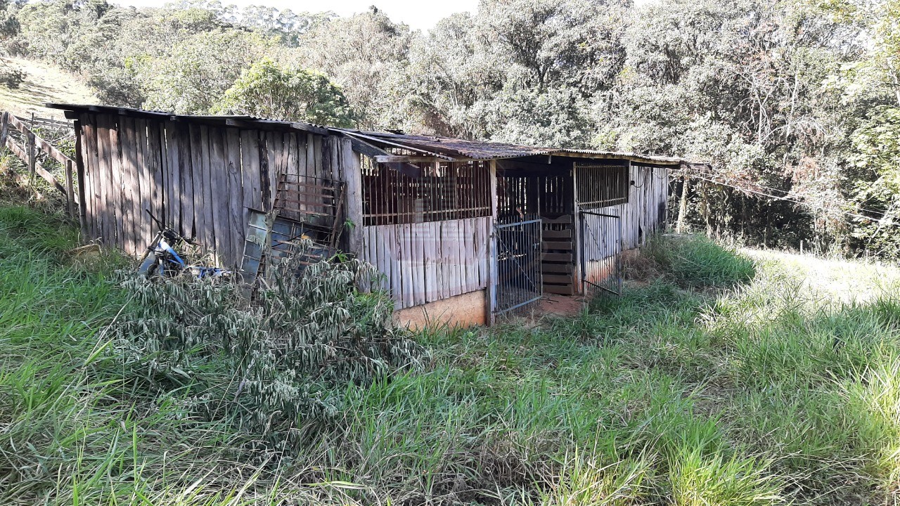 Haras e Área Rural Padrão à venda, 20000m² - Foto 6