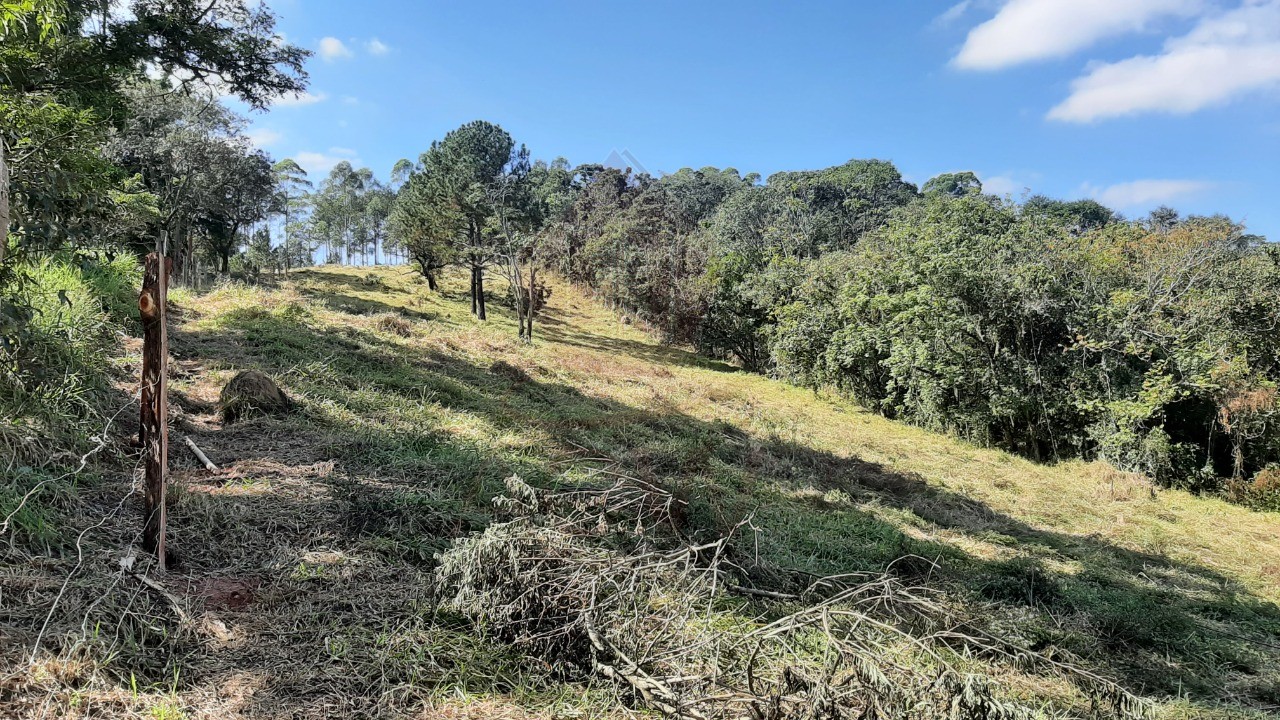 Haras e Área Rural Padrão à venda, 20000m² - Foto 1