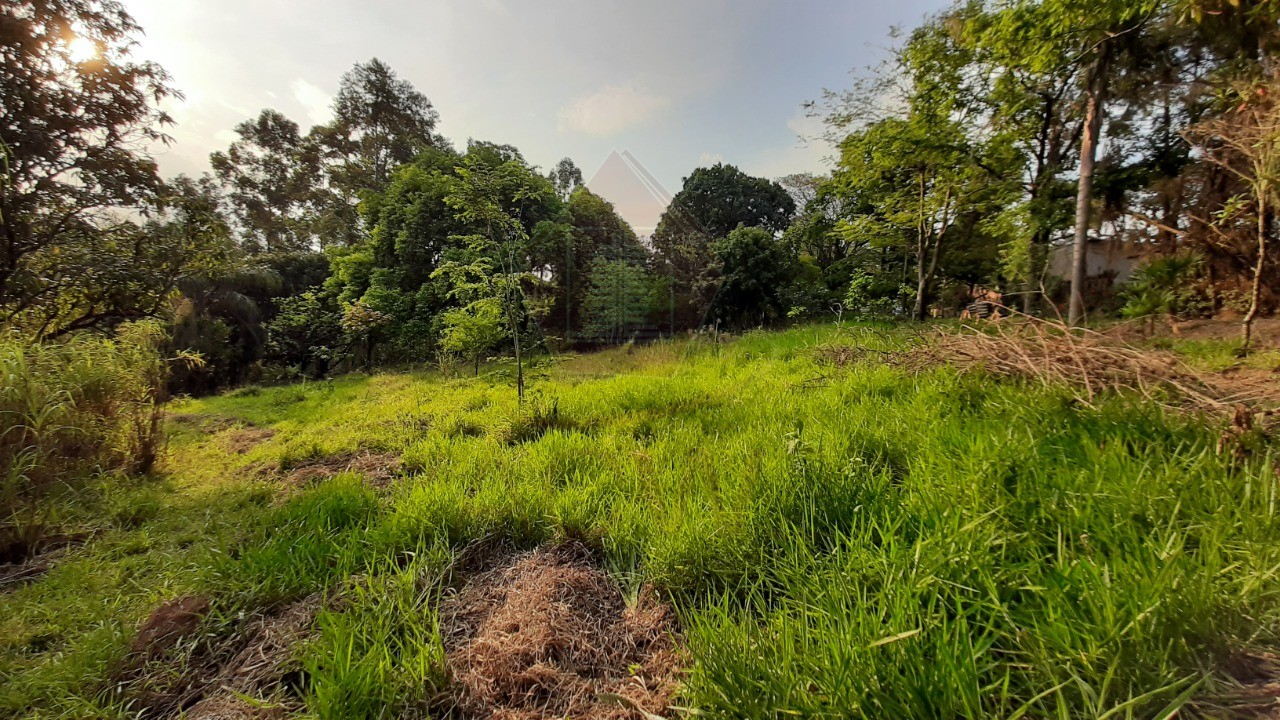 Chácara à venda, 5000m² - Foto 6