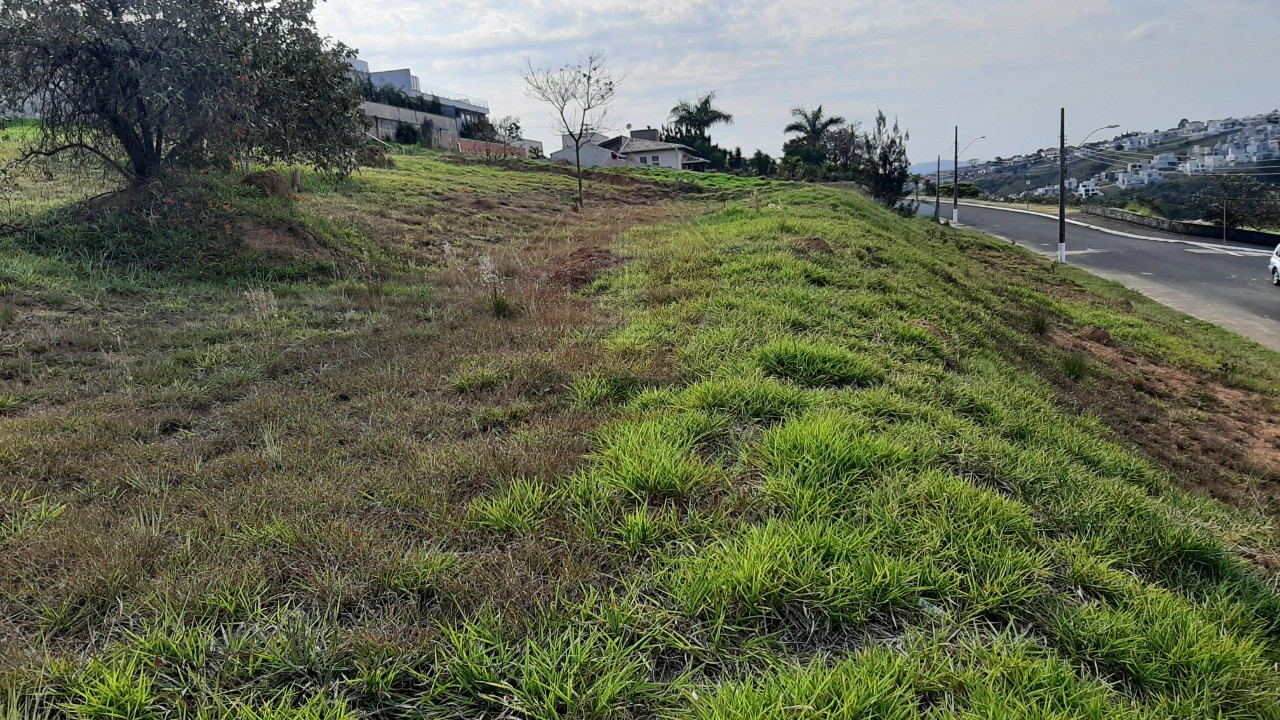 Terreno à venda, 1000m² - Foto 5