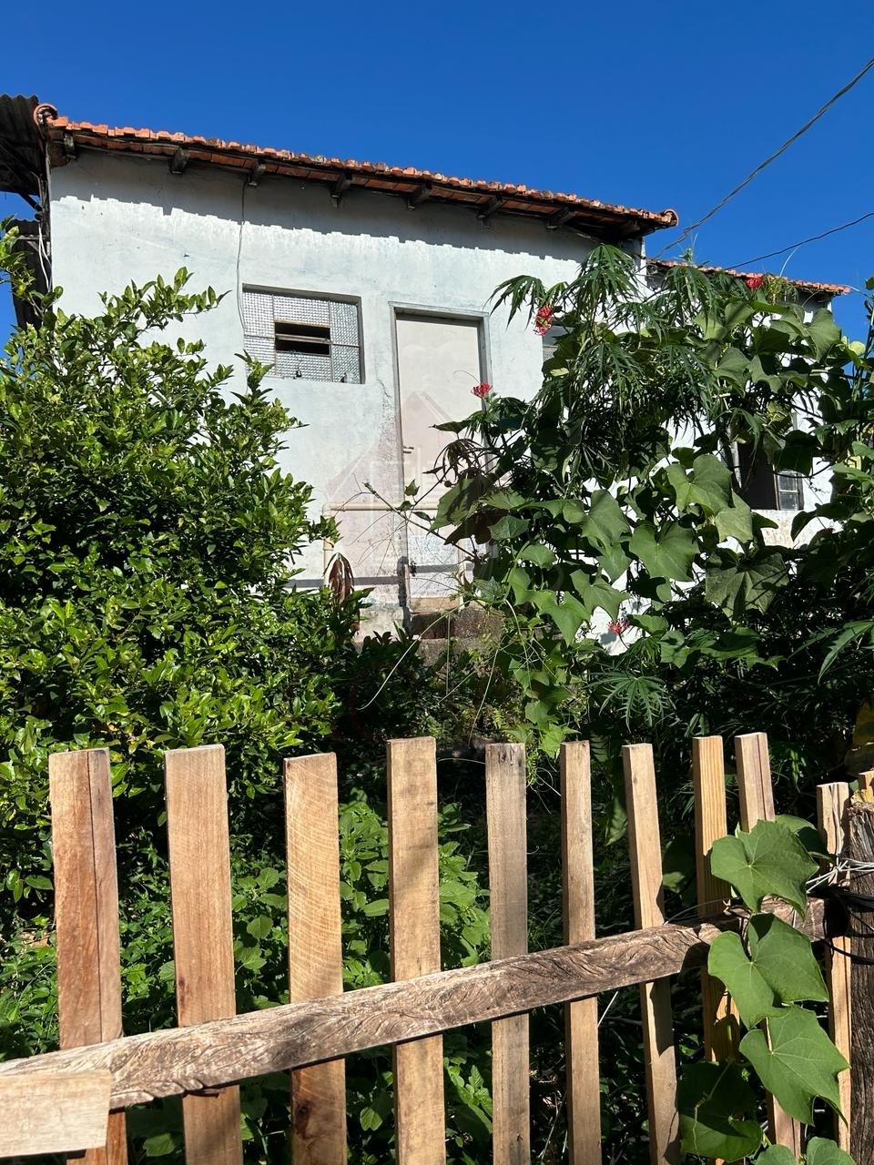 Casa à venda com 1 quarto, 50m² - Foto 1