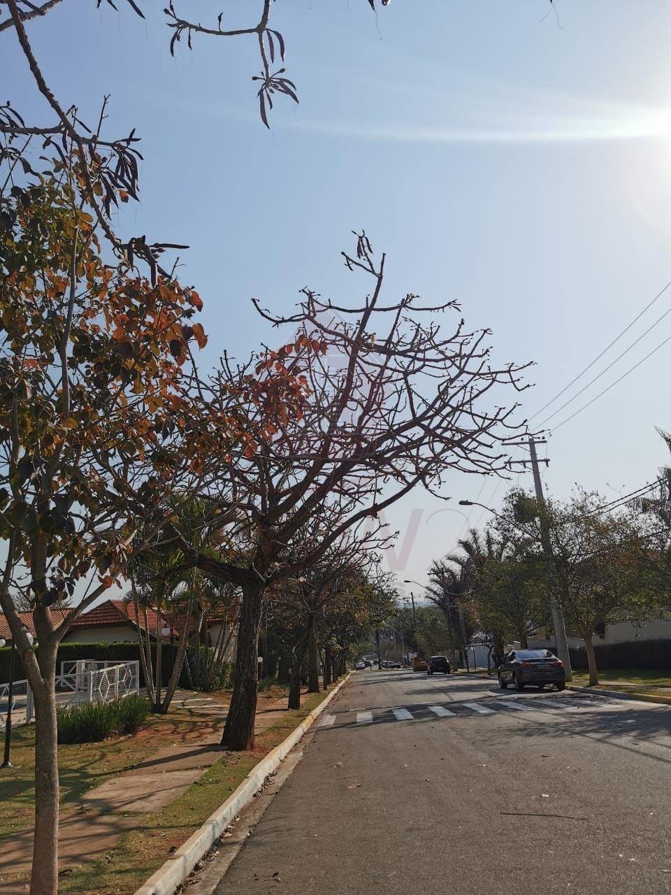 Casa à venda e aluguel com 4 quartos, 200m² - Foto 47