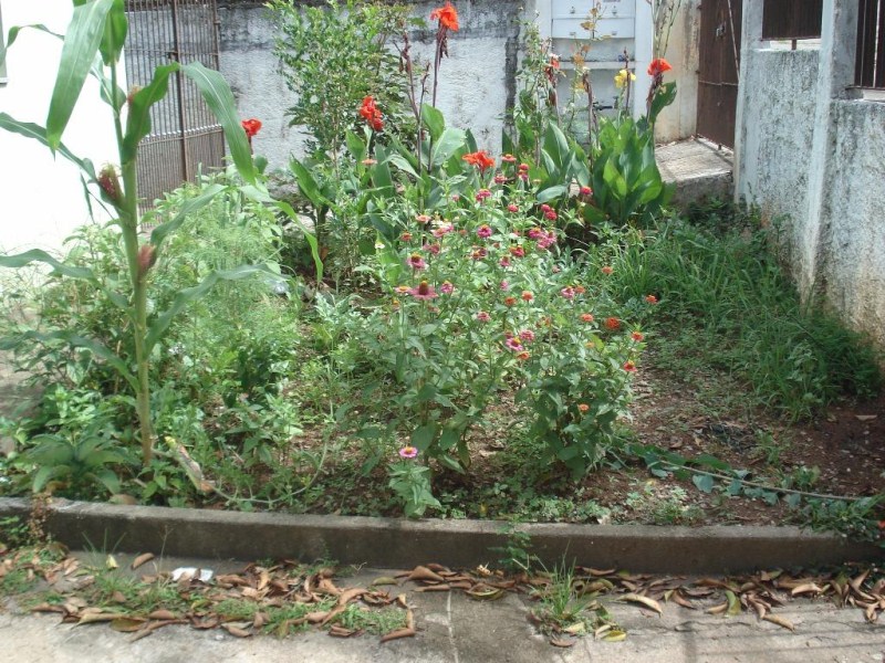 Casa, 2 quartos, 104 m² - Foto 3