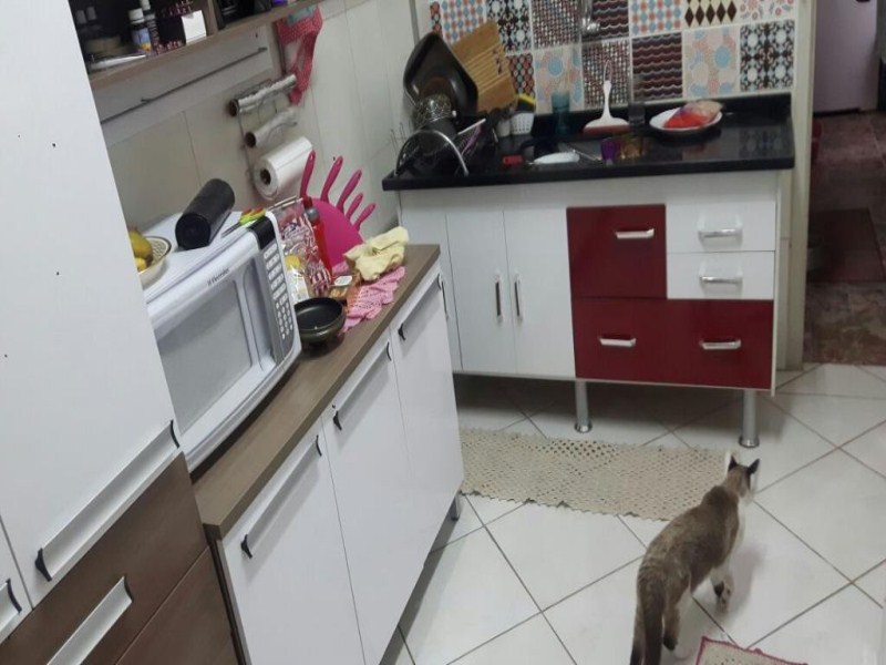 Apartamento, 2 quartos - Foto 10