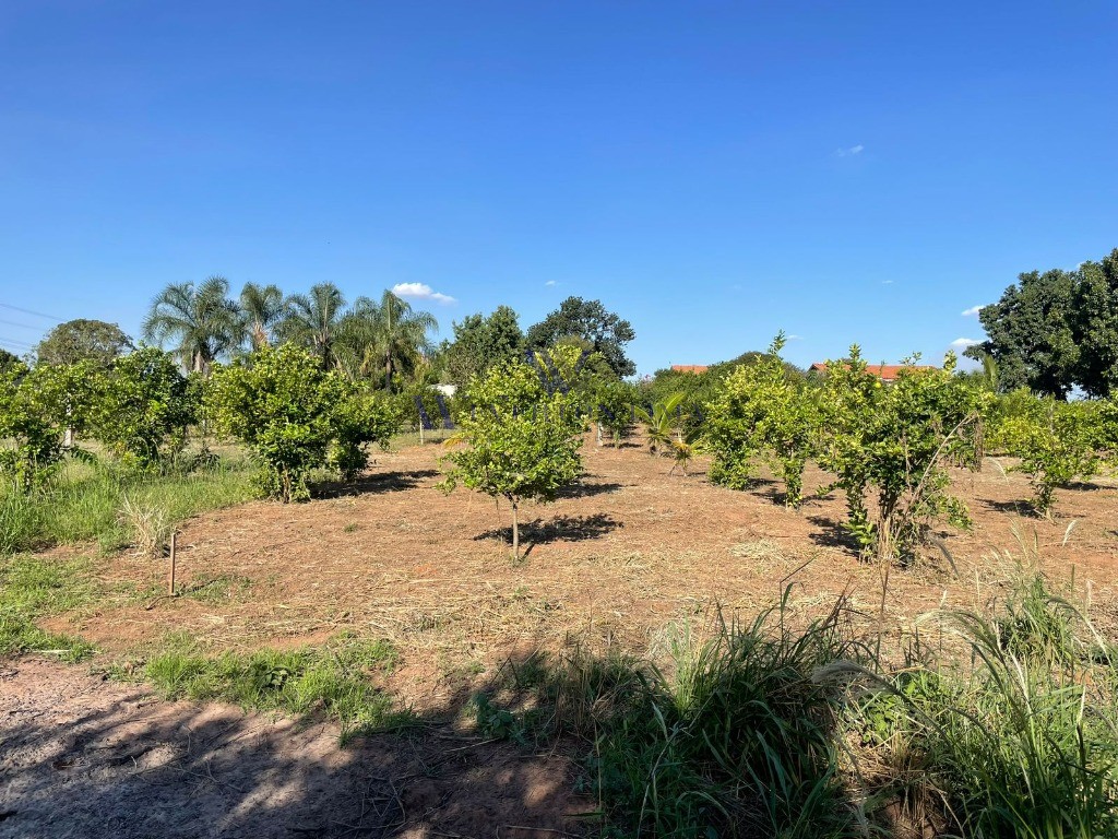 Terreno, 1000 m² - Foto 10