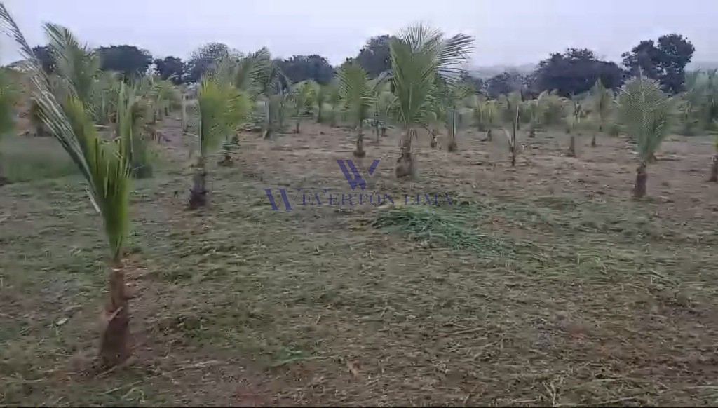 Terreno, 1000 m² - Foto 9