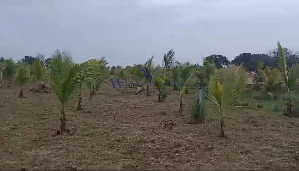Terreno, 1000 m² - Foto 3