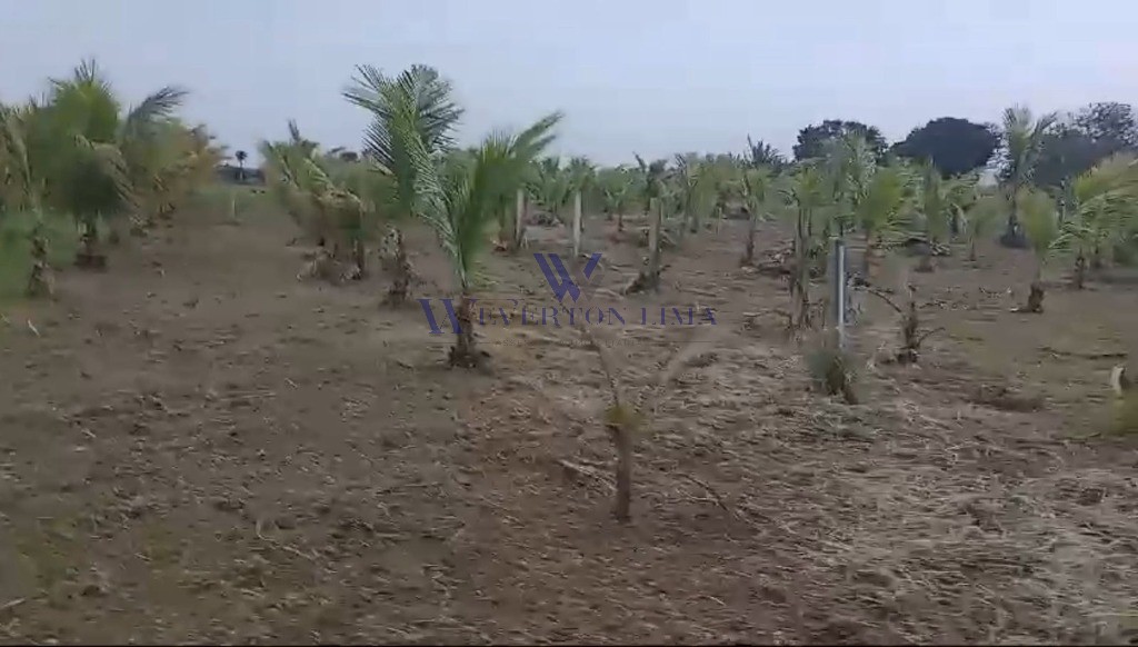 Terreno, 1000 m² - Foto 4
