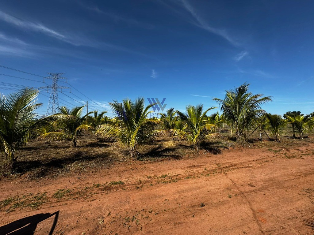 Terreno, 1000 m² - Foto 1