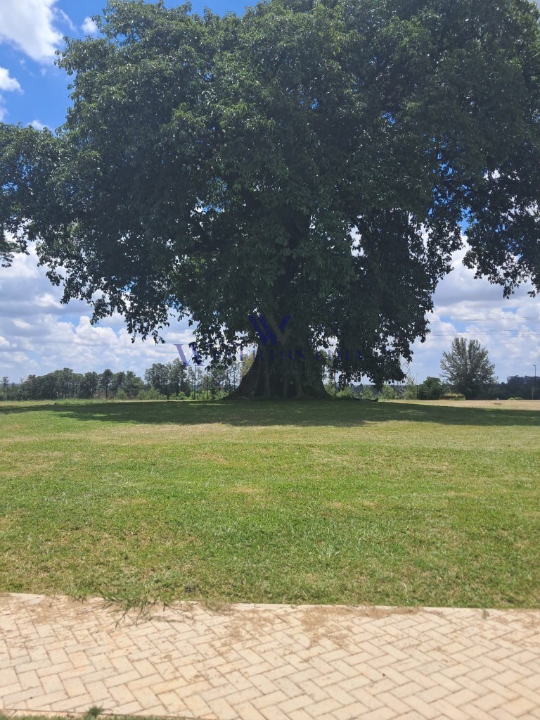 Terreno, 534 m² - Foto 8