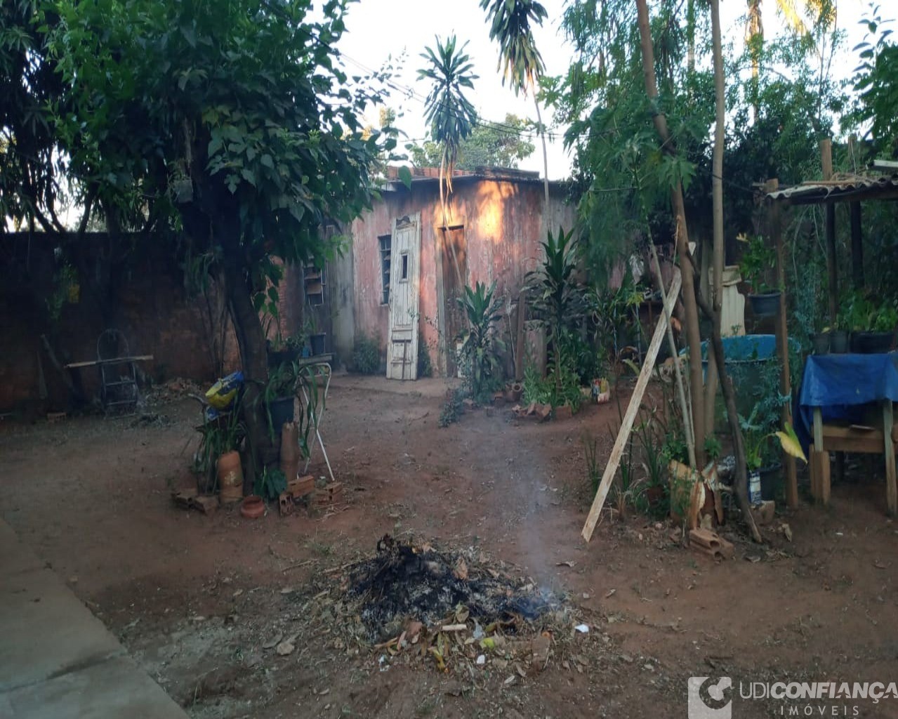 Fazenda à venda com 3 quartos - Foto 6