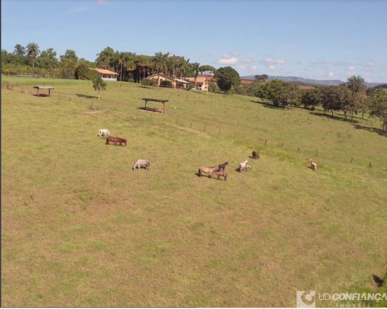 Fazenda à venda com 15 quartos - Foto 19