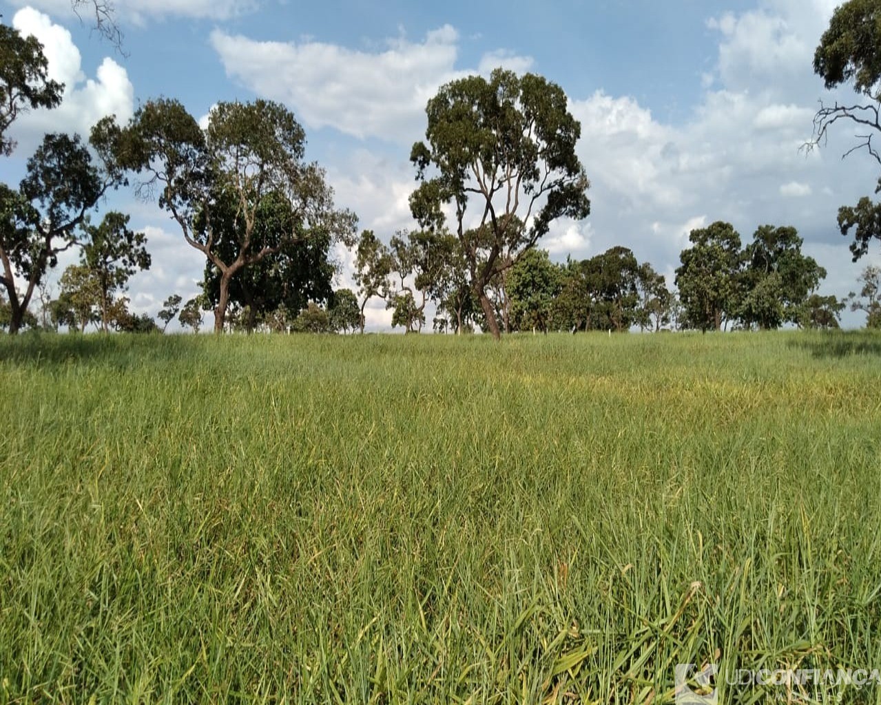 Fazenda à venda - Foto 1