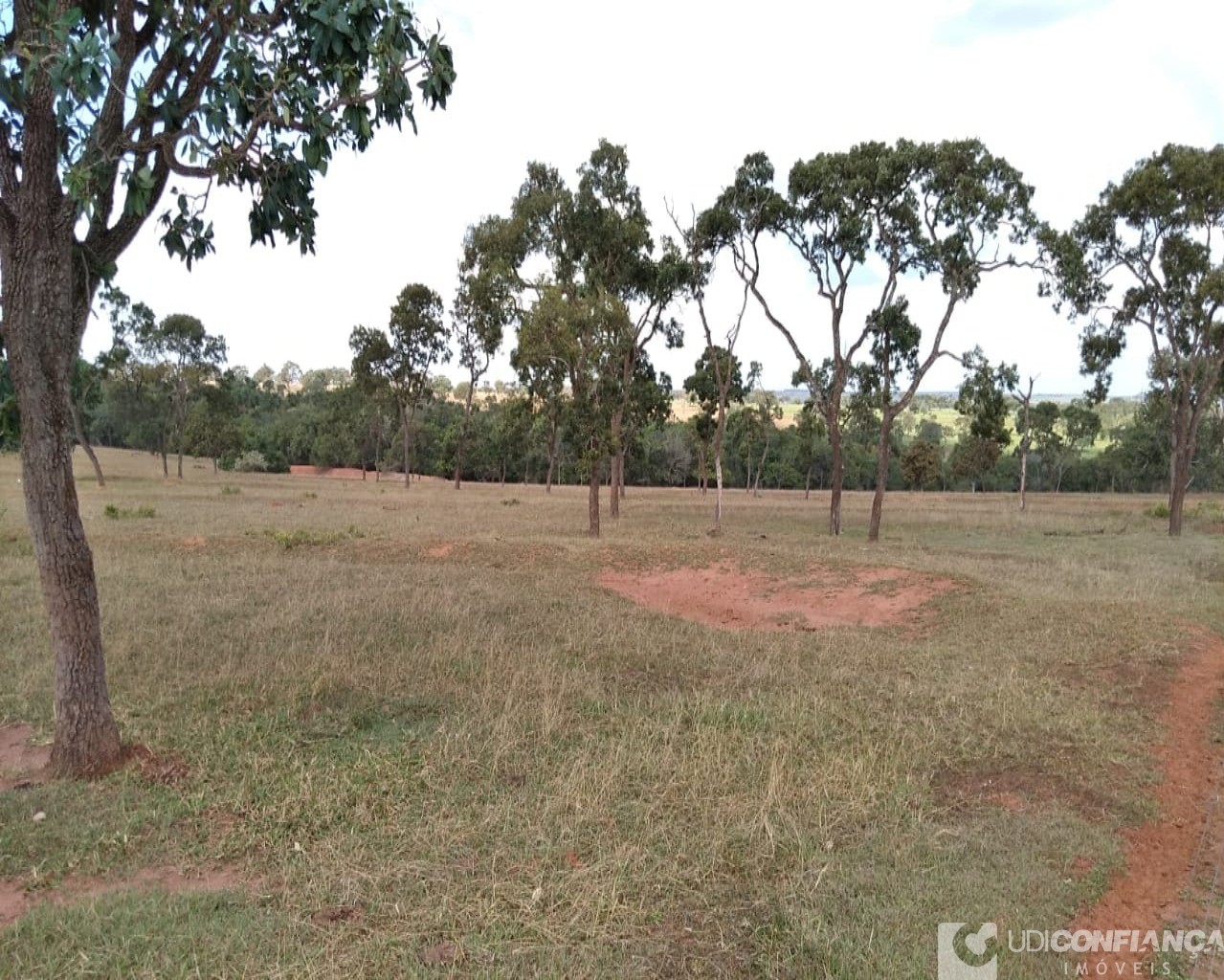 Fazenda à venda - Foto 4