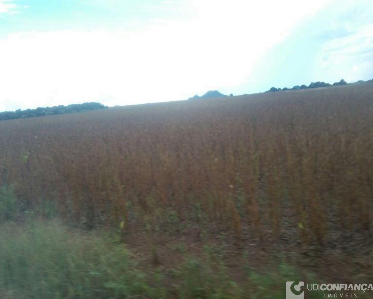 Fazenda à venda - Foto 21